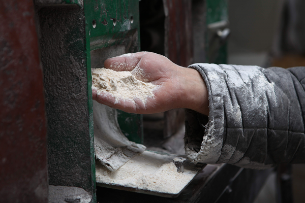 Flour production in Ukraine