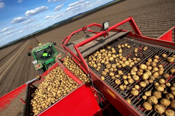 CFG harvesting potato in Ukraine, September 2021