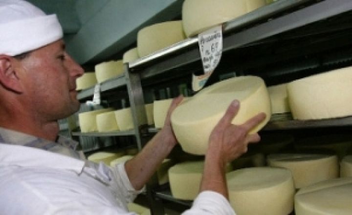 В марте Украина нарастила производство сыров до 12,5 тыс. тонн