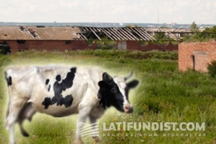 В Украине необходимо поднимать животноводство — участники АгроДебатов