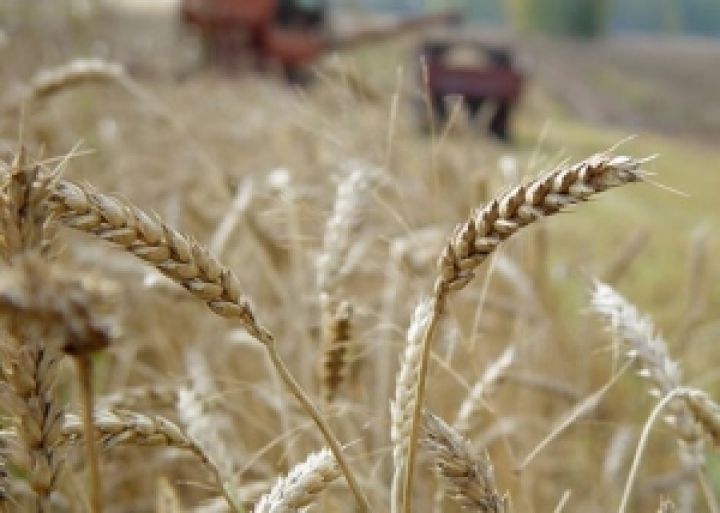 В Украине растут объемы сельхозпроизводства
