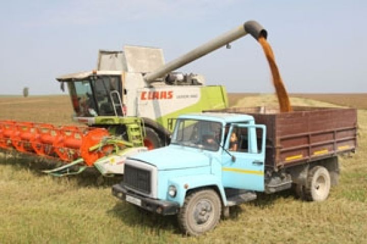 Украинскими аграриями намолочено свыше 11,5 тыс. тонн пшеницы 