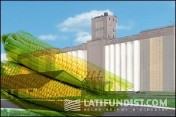 Китай надеется на урожай кукурузы