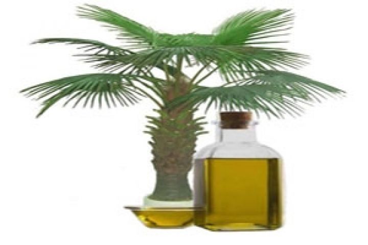 Мировое производство пальмового масла увеличится в 2012 году на 5,1%  