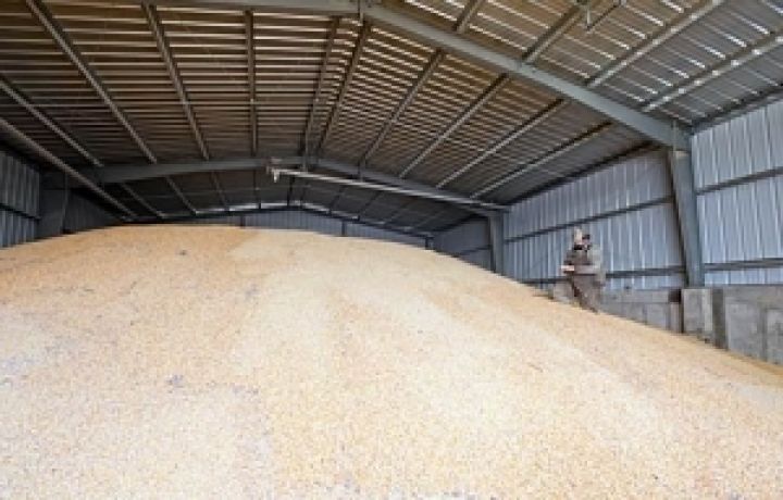 В Украине планируется создать гарантийный фонд выполнения обязательств по складским документам на зерно