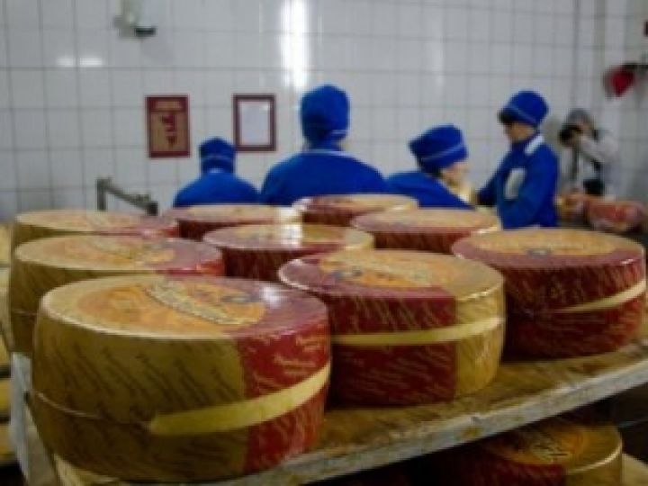 Экспорт украинского сыра в Россию полностью восстановлен 