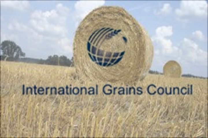 Прогноз производства зерновых в Украине вырос на 1 млн тонн 