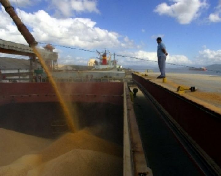 Индия изучает опыт Австралии, чтобы увеличить доходы от экспорта пшеницы