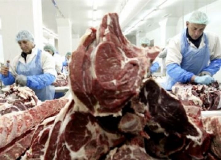 В Украине 13 предприятий, производящих животноводческую продукцию, приостановили работу