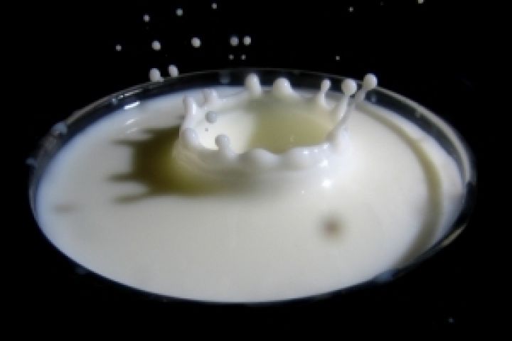 Экспорт украинского молока вырастет в 10 раз — эксперт