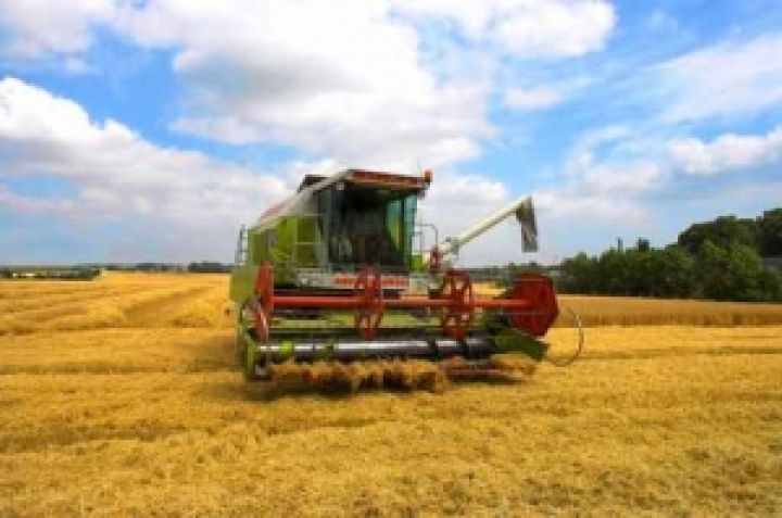 В Украине валовая продукция сельского хозяйства снизилась на 4,5% 