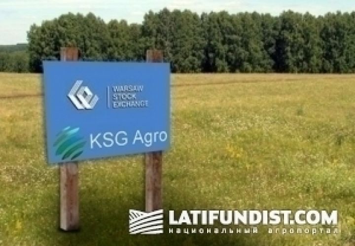 KSG Agro планирует увеличить земельный банк на 20 тыс. га в 2013 году