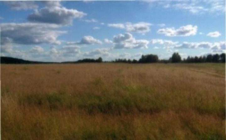 На Юге Украины наблюдается тенденция отказа аграриев от обработки арендуемых земель