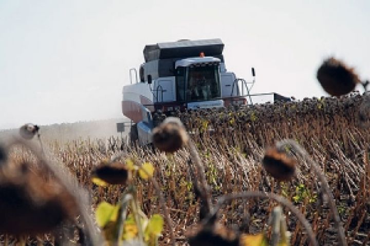 Украину ожидает недобор урожая подсолнечника — Новиков