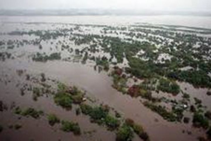 Россия. Ущерб АПК от паводка составил 8,2 млрд руб