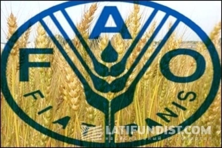 Украина может стать участницей мировой системы мониторинга аграрного рынка