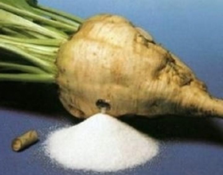 Минагропрод хочет сбалансировать производство сахара и выращивание сахарной свеклы