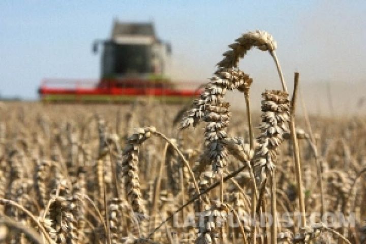 Днепропетровщина нарастила производство сельхозпродукции на четверть