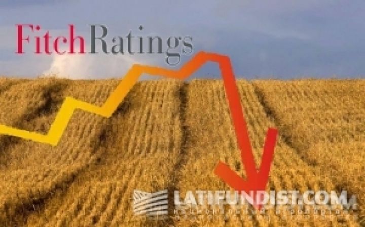 Fitch понизил рейтинги пяти украинских агрохолдингов