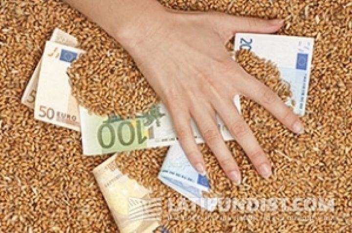 С каждой тонны экспортированного зерна нужно заплатить 90 грн взяток – эксперт 