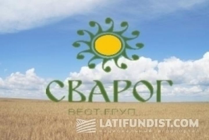 Возврат НДС будет способствовать наращиванию производства зерна в Украине