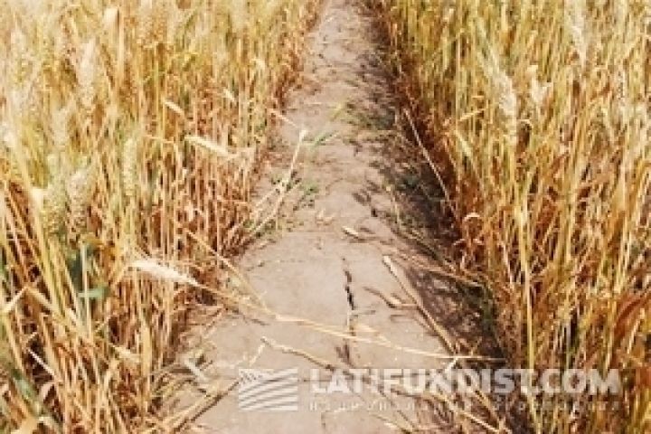 Аграрный союз Украины пожаловался на низкий уровень господдержки