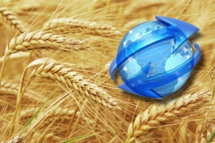 За 2013 г. Украина экспортировала 32 млн т зерна — Госсельхозинспекция