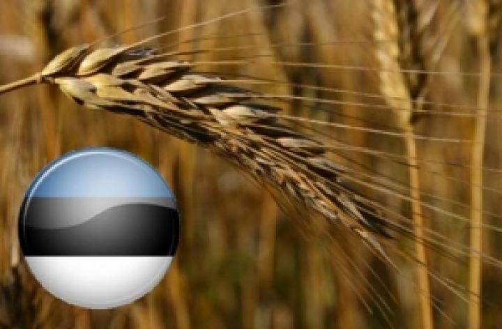 Украина намерена наращивать экспорт сельхозпродукции в Эстонию