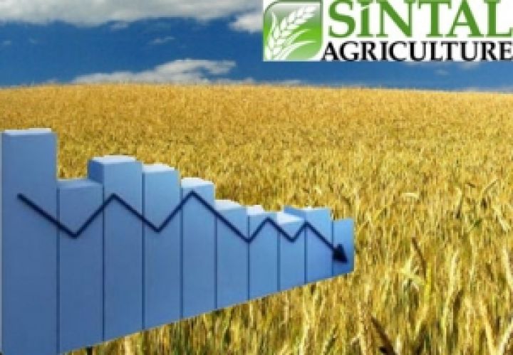 Акции Sintal Agriculture обвалились после новости о банкротстве главной компании