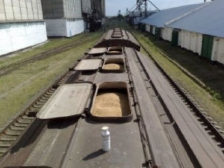В январе погрузка зерновых на железной дороге выросла на четверть