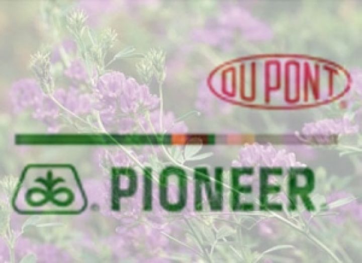 DuPont Pioneer выводит на рынок новый инокулянт для люцерны