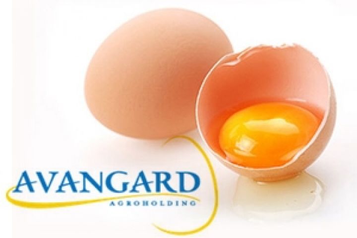 Компании Авангард в 2013 году удалось нарастить производство яиц