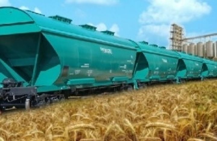Приднепровская железная дорога увеличила перевозки зерна в 2,6 раза