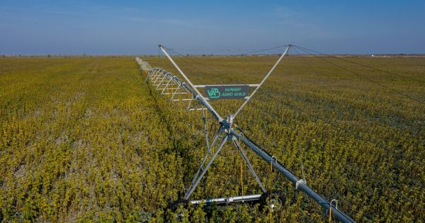 Variant Irrigation machinery in a field of Hors-AGRO in Zaporizhzhya region