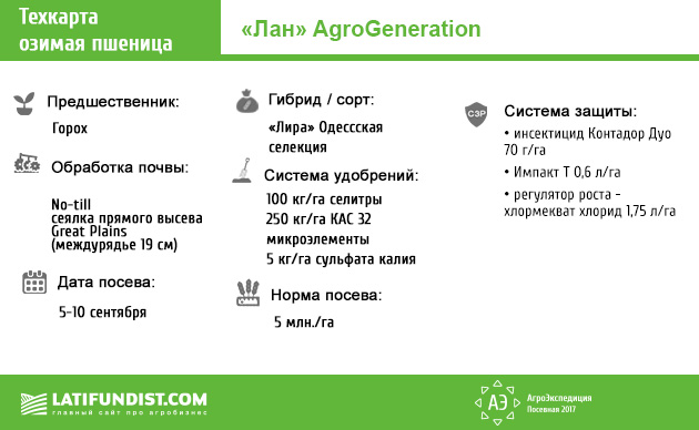 Техкарта озимая пшеница