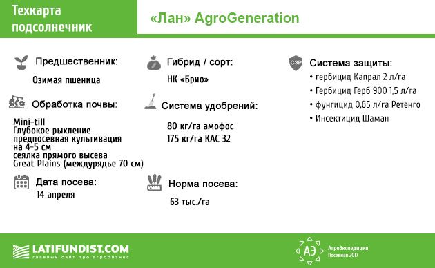 Техкарта подсолнечник