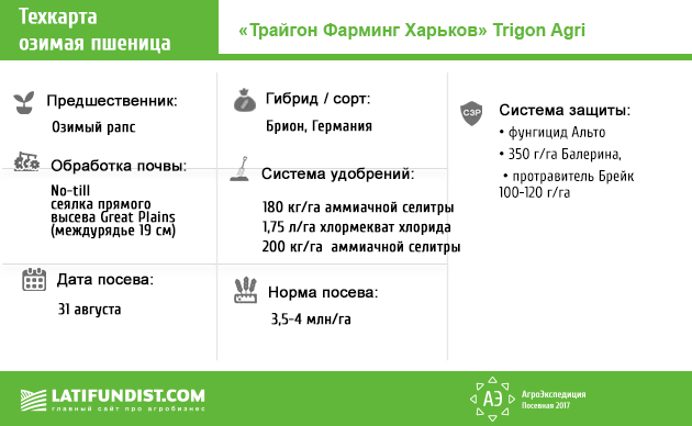 Техкарта озимая пшеница «Трайгон Фарминг Харьков»