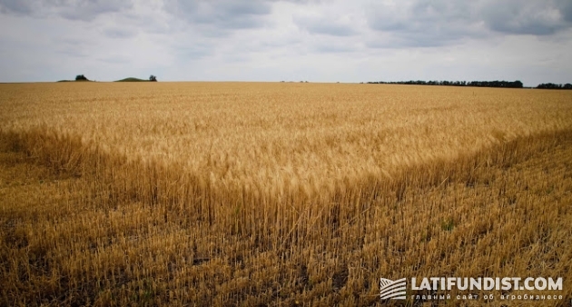 АгроЭкспедиция 8 — Пшеница 2015