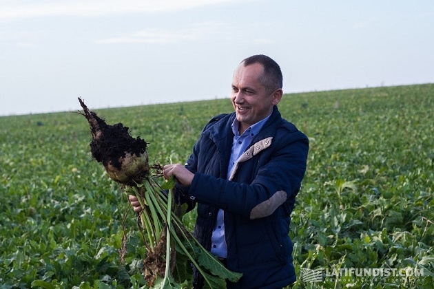 Вместе с Владимиром Варещуком проверяем качество урожая сахарной свеклы