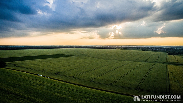 Закат над полем Agromino