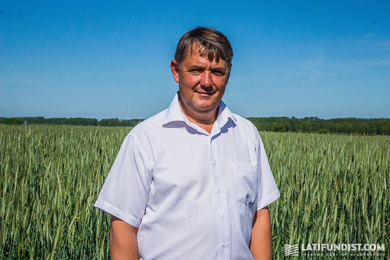 Виктор Петрашенко, главный агроном «Вега Агро» 