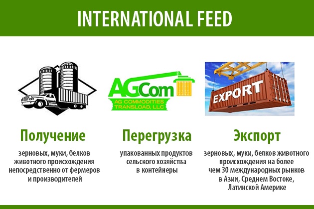 International Feed