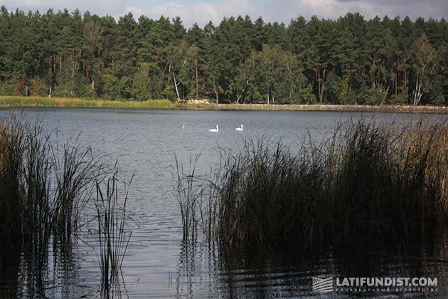 Озеро Белое возле села Хоцьки