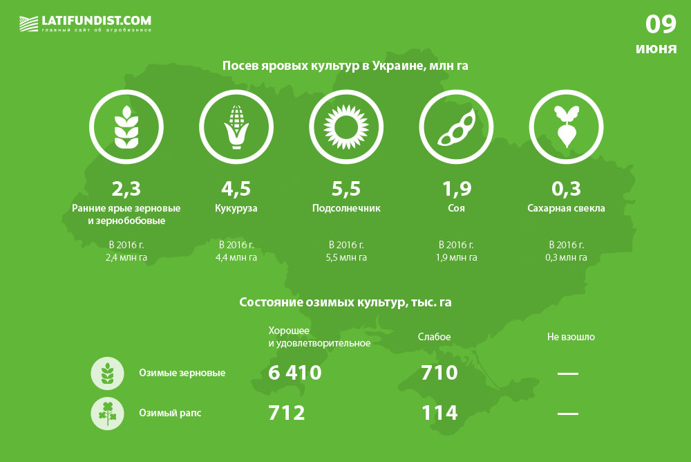 Кликните для перехода к проекту