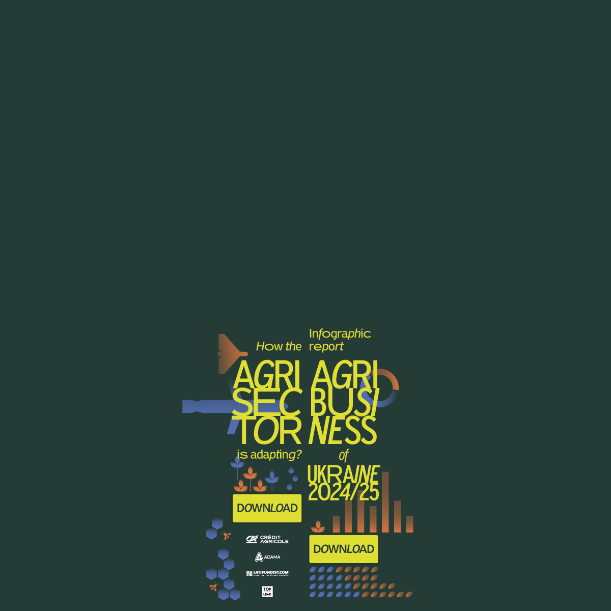 Брендування інфобук 2025 англ