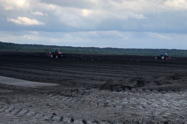 Овочеве господарство 657 га у Волинській обл.