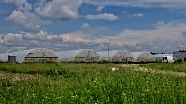 Тепличне господарство 10 га у Волинській обл.