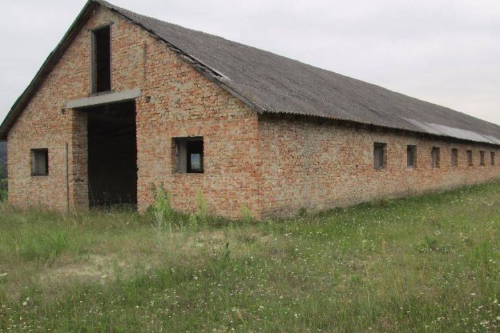 Животноводческое хозяйство 838,8 м² в Тернопольской обл.