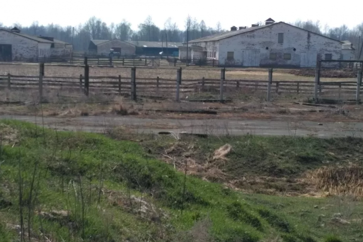 Аренда/продажа фермы 28 000 м² в Киевской обл.