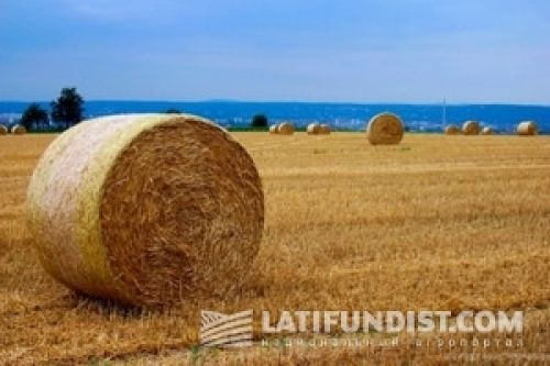 Неделя «кредитования» для украинского агробизнеса Неделя «кредитования» для украинского агробизнеса